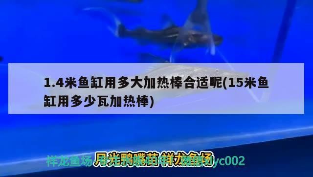 1.4米魚缸用多大加熱棒合適呢(15米魚缸用多少瓦加熱棒)