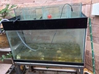 玻璃魚缸如何拆除：如何正確的拆除玻璃魚缸？