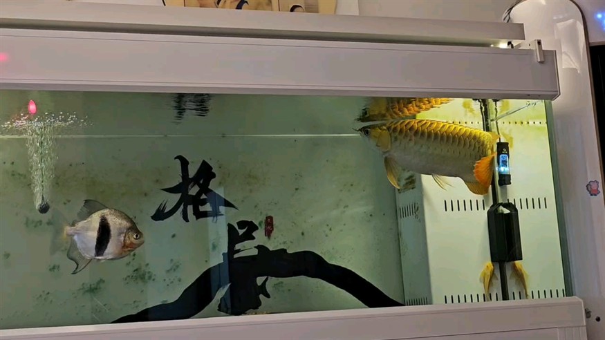 夜已深