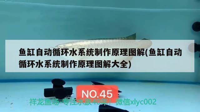 鞍山經(jīng)濟開發(fā)區(qū)匯龍閣水族館（鞍山經(jīng)濟開發(fā)區(qū)匯龍閣水族館電話）