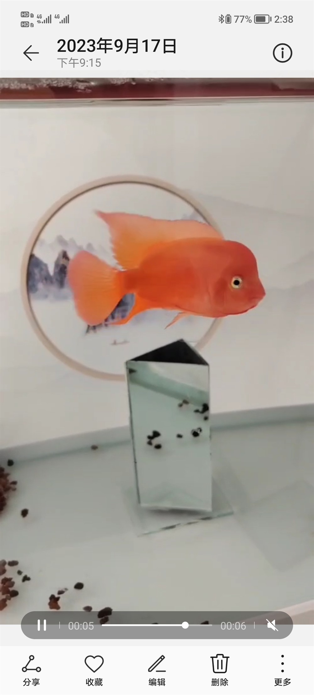 東面放魚缸好不好風水:家居風水魚缸的擺放技巧 魚缸百科 第2張 東面放魚缸好不好風水:家居風水魚缸的擺放技巧 東面放魚缸好不好風水:家居風水魚缸的擺放技巧 魚缸百科 第2張