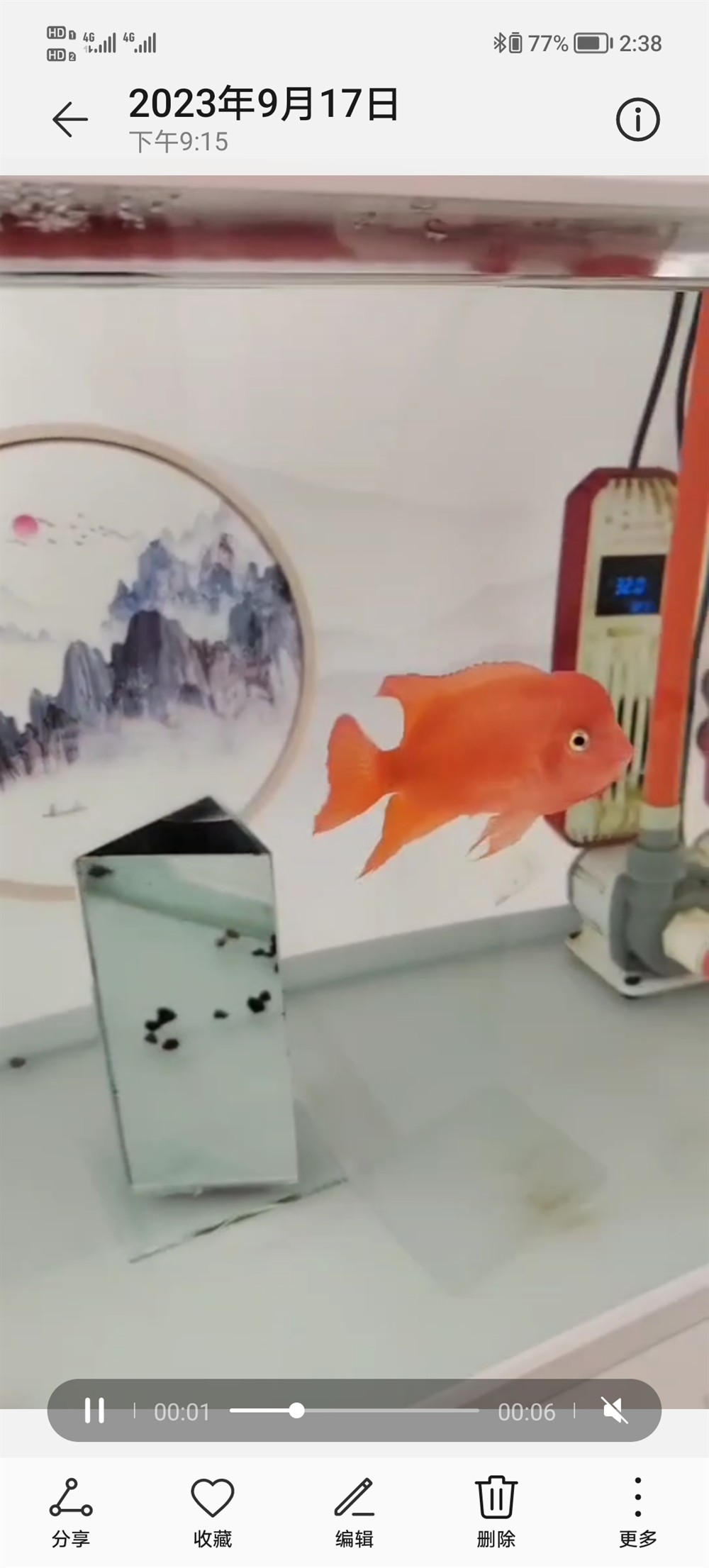 東面放魚缸好不好風水:家居風水魚缸的擺放技巧 魚缸百科 第5張 東面放魚缸好不好風水:家居風水魚缸的擺放技巧 東面放魚缸好不好風水:家居風水魚缸的擺放技巧 魚缸百科 第5張
