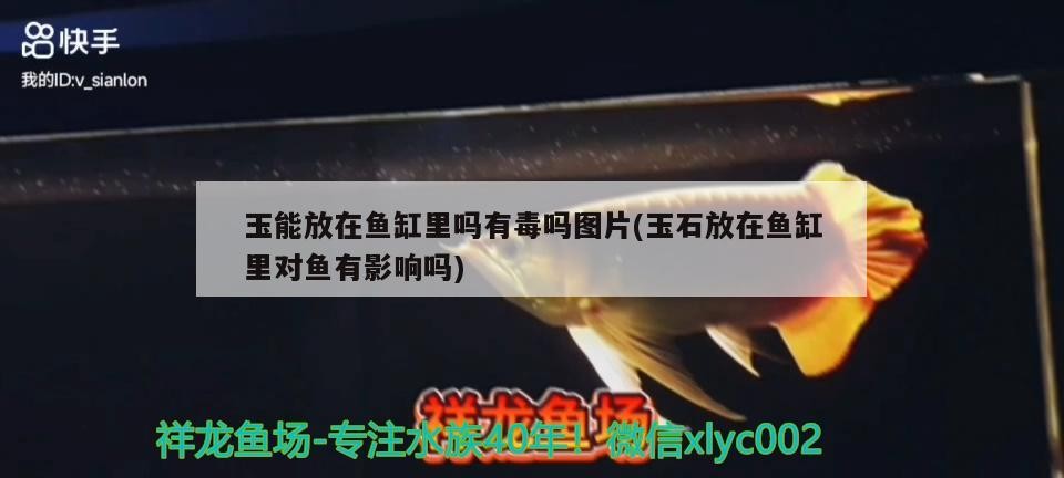 玉能放在魚缸里嗎有毒嗎圖片(玉石放在魚缸里對魚有影響嗎) 玉能放在魚缸里嗎有毒嗎圖片(玉石放在魚缸里對魚有影響嗎) 森森魚缸