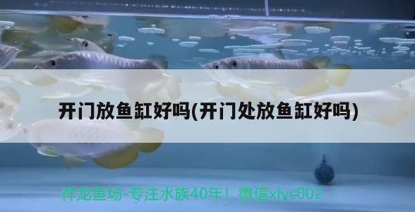 開門放魚缸好嗎(開門處放魚缸好嗎) 開門放魚缸好嗎(開門處放魚缸好嗎) 紅龍魚百科