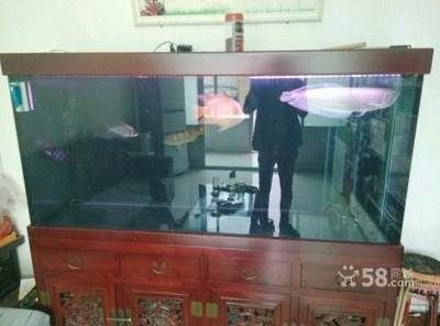 大興魚(yú)缸清洗公司：北京大興魚(yú)缸清洗公司