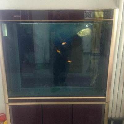 大興魚(yú)缸清洗公司：北京大興魚(yú)缸清洗公司
