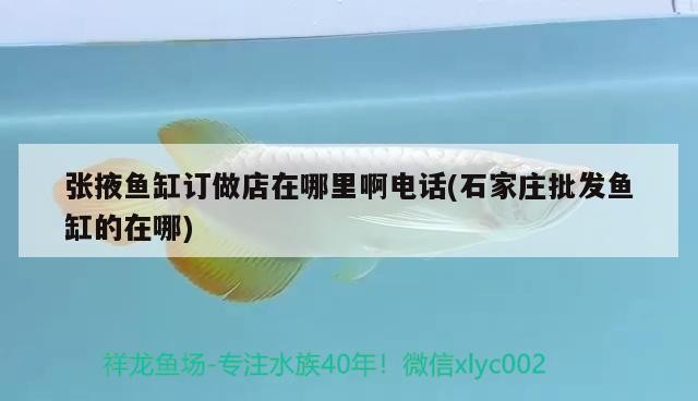 龍魚生病癥狀有哪些