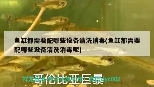 魚缸過濾器配件有哪些(魚缸過濾器材有哪些)
