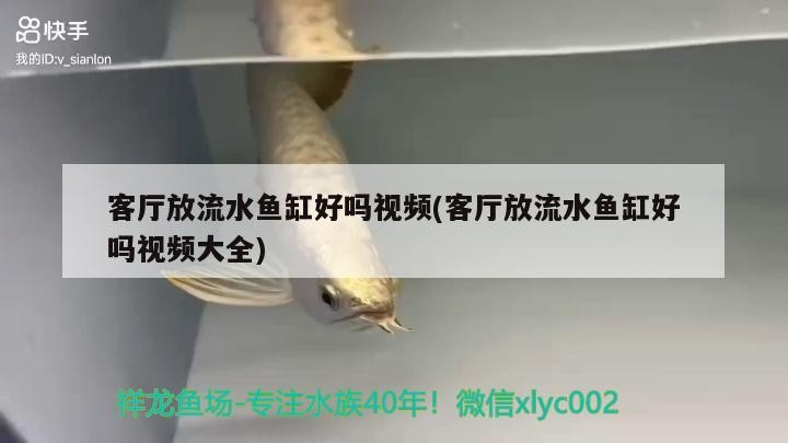 客廳放流水魚缸好嗎視頻(客廳放流水魚缸好嗎視頻大全)