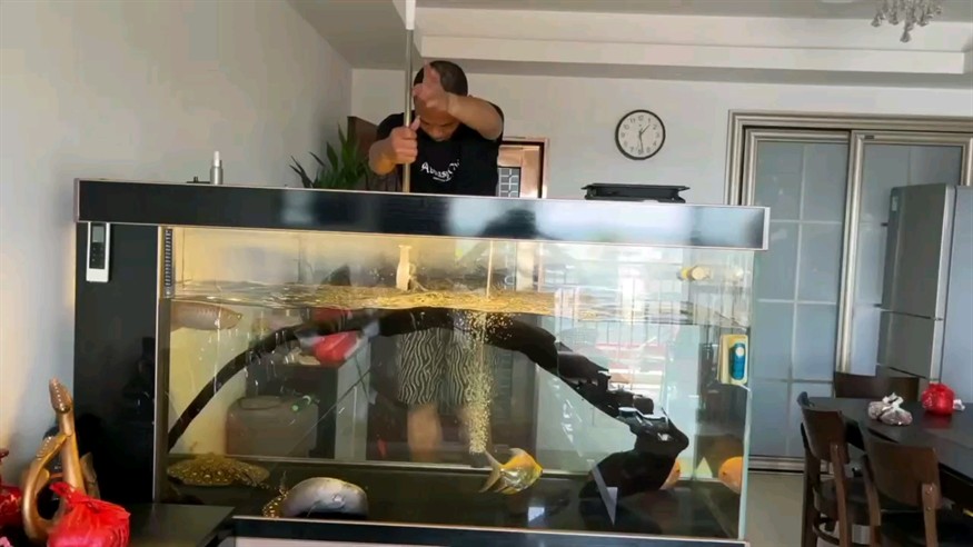明天就是國慶了，給小龍的家也清潔一下…