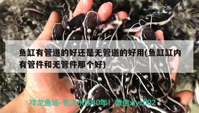 魚缸有管道的好還是無管道的好用(魚缸缸內(nèi)有管件和無管件那個(gè)好)