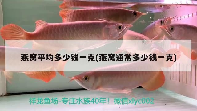 魚缸循環(huán)過濾系統(tǒng)怎么抽水的啊(魚缸循環(huán)過濾系統(tǒng)怎么抽水的啊)