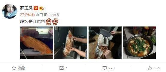 梅州紅龍魚價(jià)格2688貴嗎？