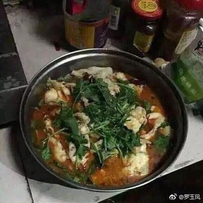 梅州紅龍魚價(jià)格2688貴嗎？