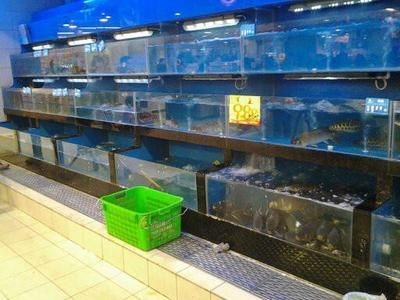 超市水產魚缸的保養方法：超市水產魚缸保養方法