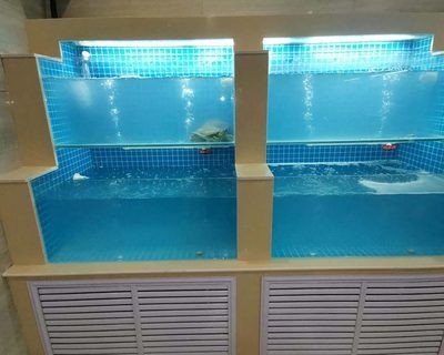 超市水產魚缸的保養方法：超市水產魚缸保養方法