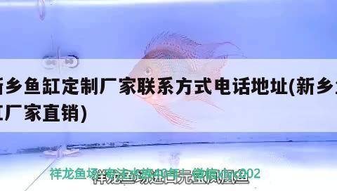 新鄉魚缸定制廠家聯系方式電話地址(新鄉魚缸廠家直銷)