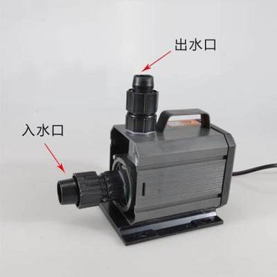 丹鳳縣森森水族館（丹鳳縣森森水族館電話）