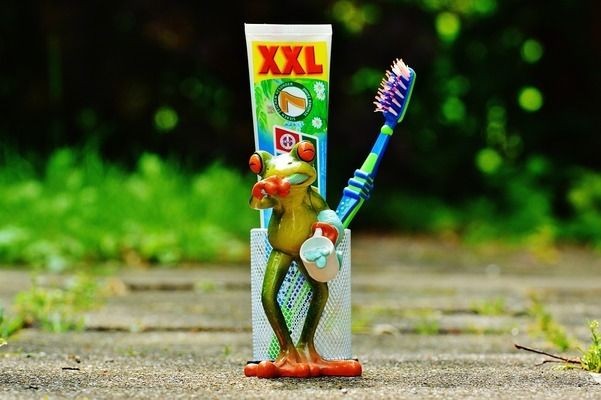 綠底紅龍魚(yú)什么品種好看：如何辨別優(yōu)質(zhì)綠底紅龍魚(yú)