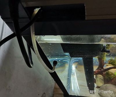 帶蓋的魚缸怎么拆開：帶蓋的魚缸如何拆卸