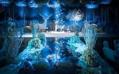 冰雪奇緣魚缸造景：“冰雪奇緣”魚缸造景關鍵步驟和注意事項和注意事項