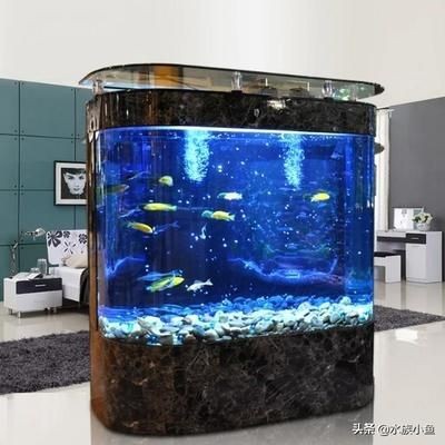 大型魚缸怎么養(yǎng)魚視頻：大型魚缸養(yǎng)魚的養(yǎng)殖需要技巧和知識和注意事項和注意事項