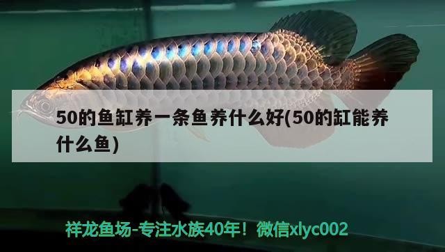 森森魚缸怎么調節燈光時間（森森魚缸怎樣調亮燈時間）