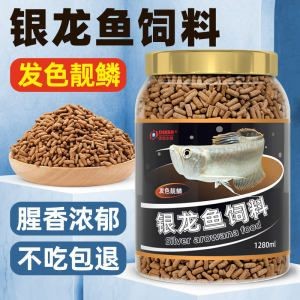 紅龍魚吃什么最好增色:紅龍魚增色飼料及牌推薦 紅龍魚百科 第5張 紅龍魚吃什么最好增色:紅龍魚增色飼料及牌推薦 紅龍魚吃什么最好增色:紅龍魚增色飼料及牌推薦 紅龍魚百科 第5張