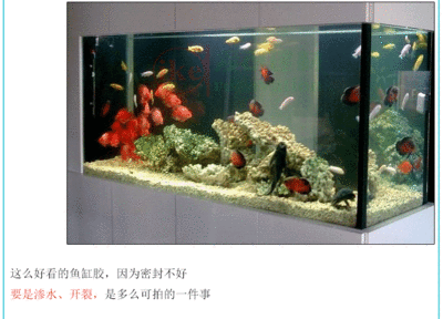 玻璃做魚缸用什么膠:如何選擇合適的玻璃膠粘魚缸 魚缸百科 第1張 玻璃做魚缸用什么膠:如何選擇合適的玻璃膠粘魚缸 玻璃做魚缸用什么膠:如何選擇合適的玻璃膠粘魚缸 魚缸百科 第1張