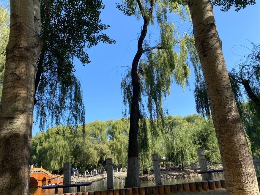 公園散步