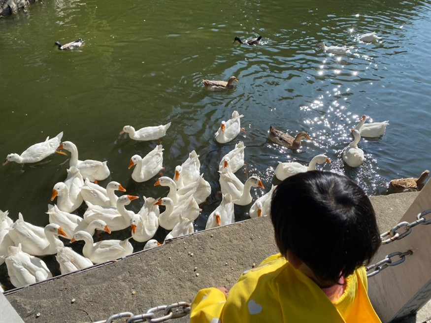 公園散步