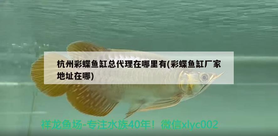 洛陽魚缸回收公司電話多少號