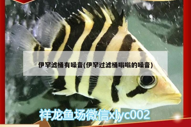嵩明縣嵩陽鎮魚趣水族店（嵩明魚具店）