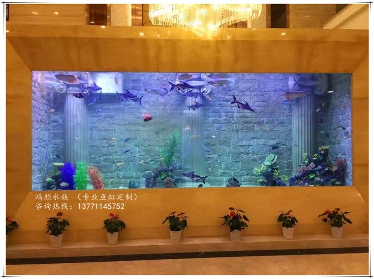 大型亞克力魚缸造景注意事項視頻：關于大型亞克力魚缸造景的一些注意事項