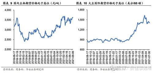 金龍魚價格上漲原因有哪些