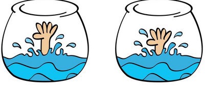 西安市灞橋區康嘉漁具水族店（西安市灞橋區康嘉漁具水族店地址）