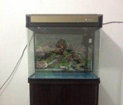 簡筆畫金魚缸和金魚缸怎么畫(簡筆畫金魚缸和金魚缸怎么畫好看)