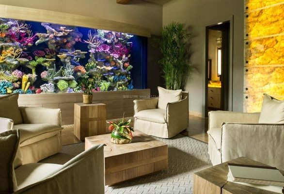 龍魚視頻大全視頻高清版及龍魚視頻大全視頻高清版下載（龍魚視頻大全視頻大全視頻高清版及龍魚視頻大全視頻高清版下載）