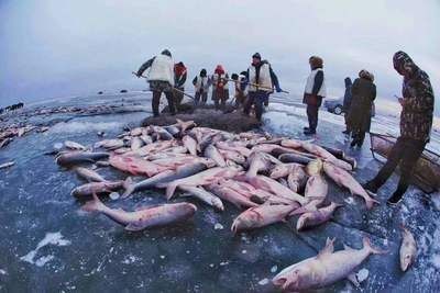 紅龍魚四大漁場排名