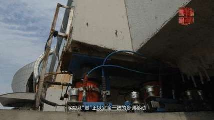 搬家公司魚缸搬碎了怎么處理好：搬家公司損壞了魚缸怎么辦？