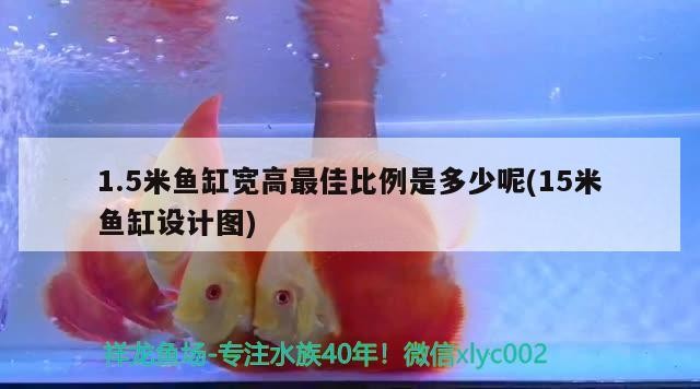 1.5米魚缸寬高最佳比例是多少呢(15米魚缸設(shè)計(jì)圖)