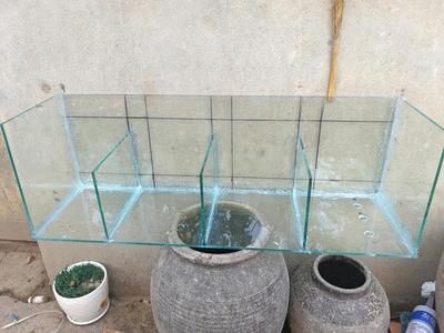 成品魚缸玻璃怎么切割好：在制作或修理成品魚缸時，如何正確切割玻璃裁切
