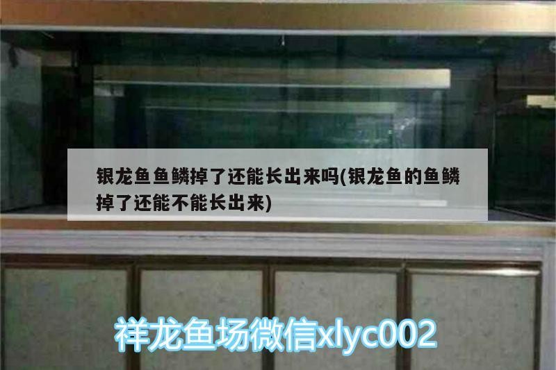 哪些類型的燈光對龍魚發色最有效？（******燈光選購清單）