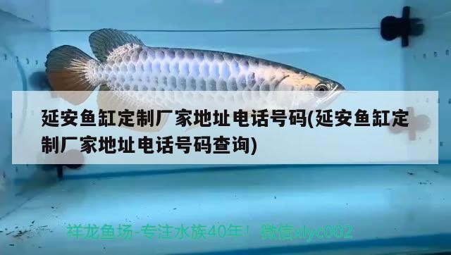 延安魚缸定制廠家地址電話號碼(延安魚缸定制廠家地址電話號碼查詢)