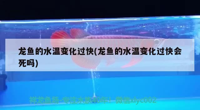 龍魚的水溫變化過快(龍魚的水溫變化過快會死嗎)