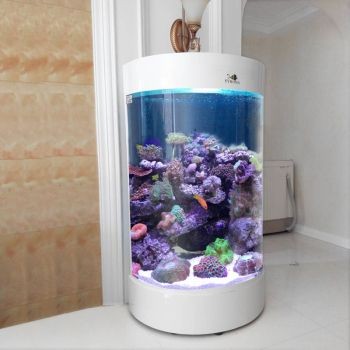 半圓魚缸安裝視頻：關于半圓魚缸安裝視頻