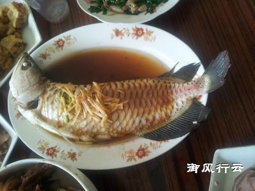 烏蘭察布紅龍魚價格2688貴嗎？