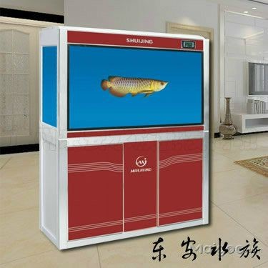 shuijing是什么牌子魚缸：如何選擇水晶材質(zhì)的魚缸