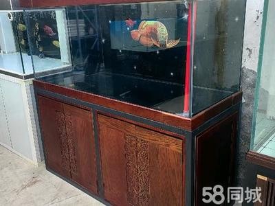 回收二手魚缸電話