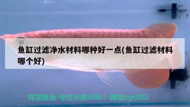 魚缸過濾凈水材料哪種好一點(魚缸過濾材料哪個好)